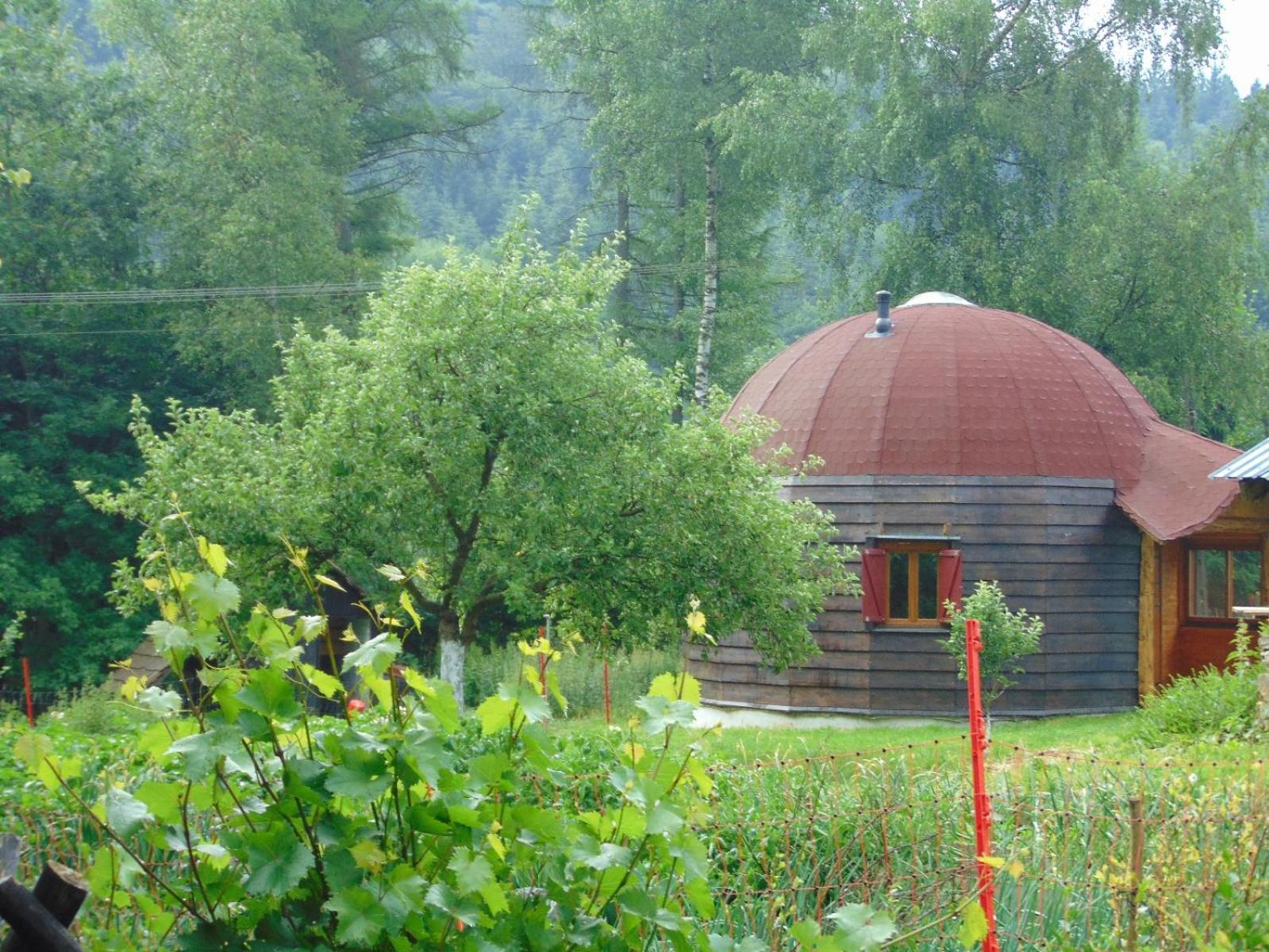 Kopulowy Salamandra * Krempna